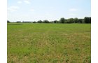 Property photo 5 - 63.5 +/- Acres Offered in 3 Tracts - Real Estate Auction